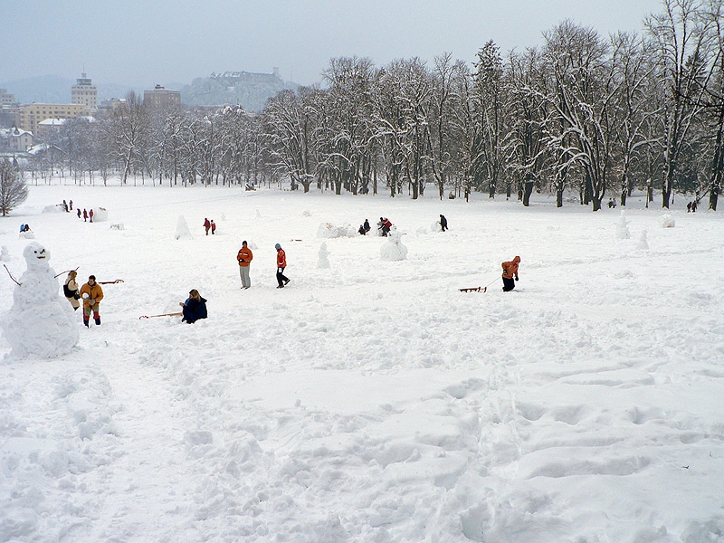 People in the snow