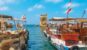 boats in sea - things to do in lebanon