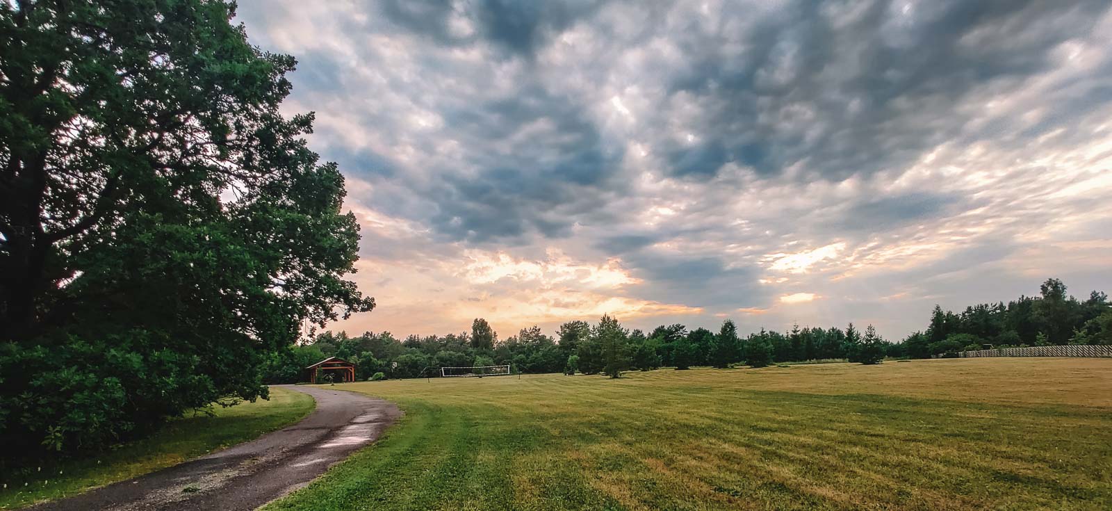 Nature in Saaremaa Island