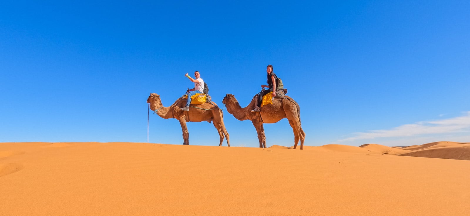 people on camels